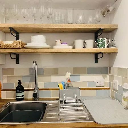 Superior Safari Themed Flat With Parking