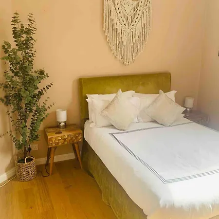 Superior Safari Themed Flat With Parking *